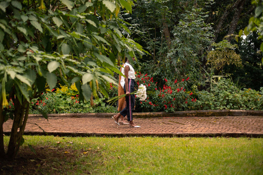 New Collection is Already Here